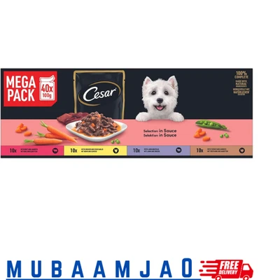 CESAR® Portionsbeutel Multipack Mega Pack Selektion in Sauce 4 Varietäten 40x100 - Bild 1 von 4