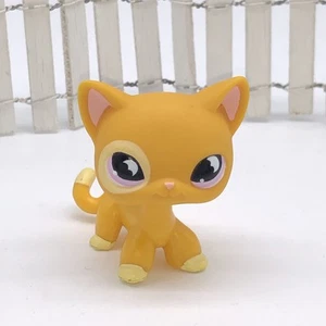 Littlest Pet Shop #855 KURZHAAR KATZE orange lila Mondaugen - AUTHENTISCH LPS - Bild 1 von 5