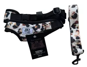 Juicy Couture Leopard Print Harness & 6' Leash Set - Small - Picture 1 of 4
