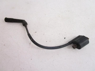 00 Bobina de encendido Yamaha YFM 600 Grizzly 3KJ-82310-13-00 1998-2001 Foto 1 de 3