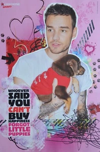 LIAM PAYNE - A3 Poster (ca. 42 x 28 cm) - One Direction Clippings Fan Sammlung - Picture 1 of 1