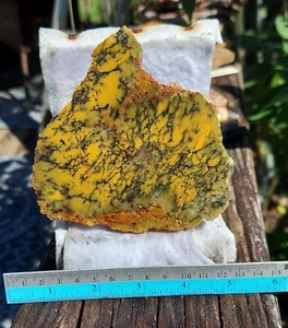 Dendritic Opalite-Australia - Picture 1 of 2