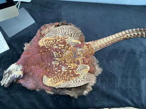 Ronn Lucas Estate Copper Cross Hybrid Pheasant skin - Picture 1 of 8