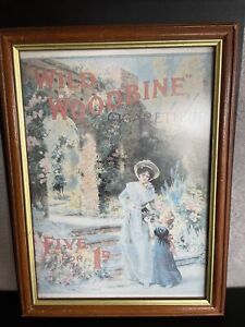 Vintage Cigarette Advertising Picture Woodbines 37 Cm X 28 Cm - Smoking Ads