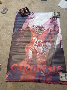 1972 NFL Bartell Series ST LOUIS CARDINALS  Football POSTER 24x36 Rare! - Picture 1 of 7