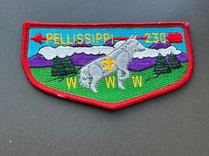 OA, Pellissippi (230) Flap (S-25b) - Picture 1 of 1