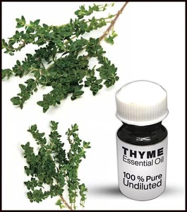 Thyme Essential Oil 100% Pure Undiluted (10ML-500ML) - Picture 1 of 1