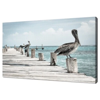 Pelican Birds Sitting On The Sea Wall Art Canvas Unframed Print Art - Image 1 of 2