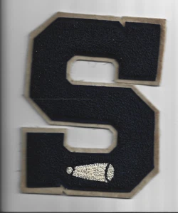 PARCHE DE COLECCIÓN~NORTH BRADDOCK, PA SCOTT HIGH SCHOOL, PARCHE DE CHEER LEADER-4 1/2X6 1/8 - Imagen 1 de 2