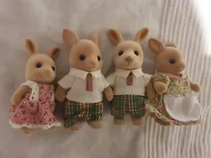 Sylvanian Families Kangaroo Families 4 personaggi - Foto 1 di 3