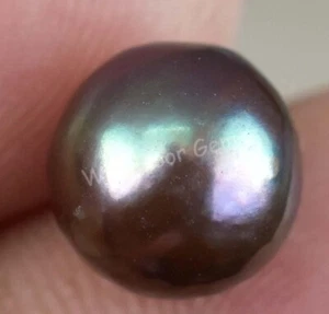 4.45 Ct Natural Tahitian Bluish Black South Sea Pearl Certified Untreated Gems - Picture 1 of 5