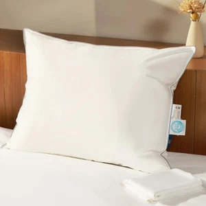 Natural Goose Down Pillows: Luxury Hotel Bed Pillow with 750 Fill Power, Whit... - Picture 1 of 7