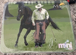 Parelli Magic Mini Pferd & Sammlerdose PA0480 2014 Parelli Nat. Horsemanship - Bild 1 von 1