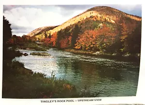 JAMES T. GREY - Signed Deluxe 1/50 - SALMON RIVERS OF CAPE BRETON ISLAND Fishing - Picture 1 of 8