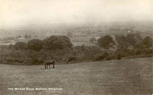 POSTAL FOTO REAL DEL WEALD DE SUTTON VALENCE, (CERCA DE MAIDSTONE), KENT - Imagen 1 de 2