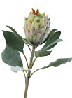 Zuckerbusch Protea Knospe 70cm Kunstblumen Einzelblumen Beiwerk Sommerdekoration