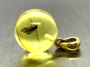 AMBER PENDANT Gift INSECT Round BALTIC AMBER Bead Silver 925 Gold Plate 2g 15276 - Picture 1 of 12