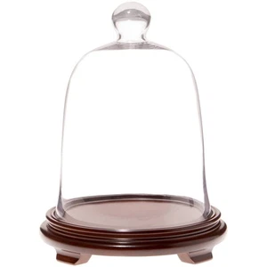 Plymor 8.5" x 11" Campana Tarro Vidrio Cúpula Cloche, Chapa Madera Nogal Base con Patas - Imagen 1 de 1