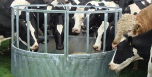 Cattle Ring Feeder Bateman with 470mm Skirt £360 + vat - Picture 1 of 1