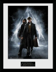 GB EYE FANTASTIC BEASTS 2 FRAME 30X40CM - Bild 1 von 1