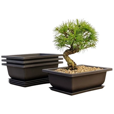 Elegante paquete de 3 macetas bonsai de 6 pulgadas con bandejas de humedad - jardineras marrones duraderas Foto 1 de 4