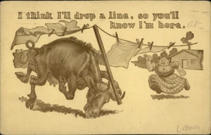Vintage Postcard Rockford IL 1911 Cow Humor Art - Picture 1 of 2