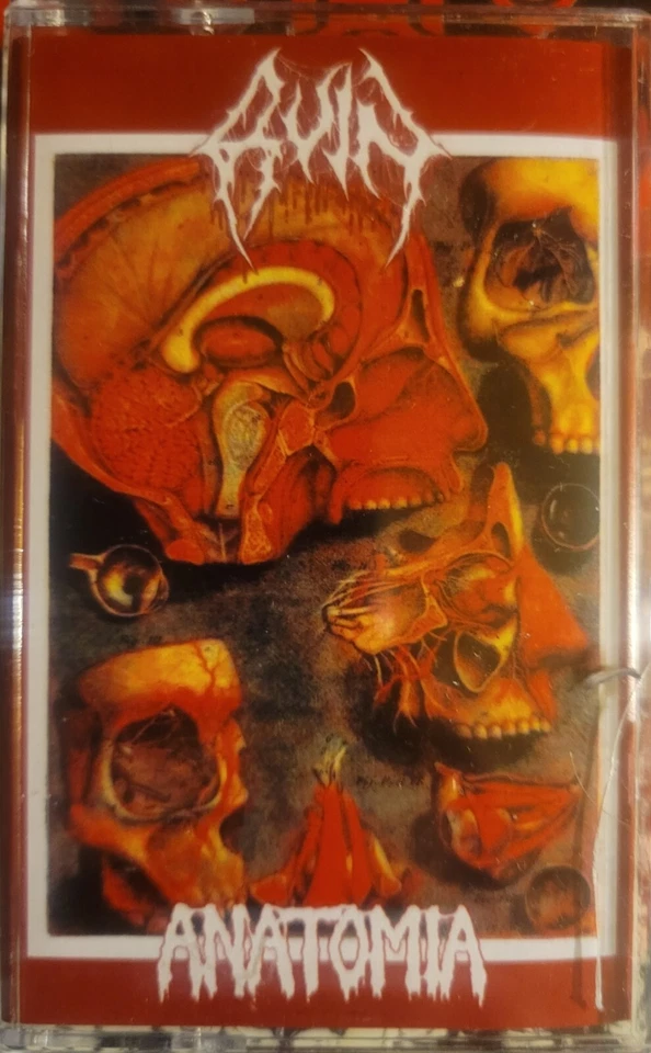 Ruin/Anatomia - Split Tape(2021)PYOVELI PURULENT REMAINS ORGAN FAILURE DIPYGUS - Image 1 of 1