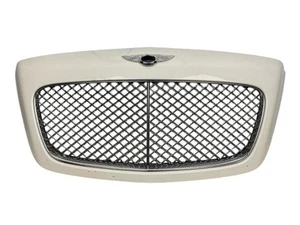 Front Hood Grille Grill White OEM 03-09 Bentley Continental GT Flying Spur GTC - Picture 1 of 22