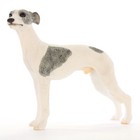 Whippet Figurine Hand Painted Collectible Statue Gray & White