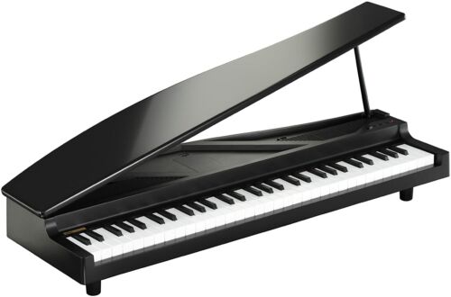 Gebraucht KORG MIKROPIANO Micro Piano Mini-Keyboard 61 Tasten schwarz Keyboard aus Japan