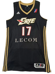 JEREMY LIN Eerie Bayhawks Jersey Signed Pro-cut Authentic *RARE* *READ* Knicks - Picture 1 of 9
