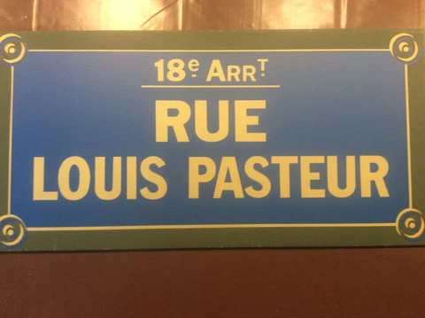 Vintage French Road Street Sign RUE Louis Pasteur Scientific Memorabilia Science Cover