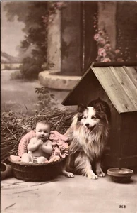 BABY IN A BASKET: COLLIE WITH A DOGHOUSE AND BOWL: RPPC (AÑOS 1900) - Imagen 1 de 3
