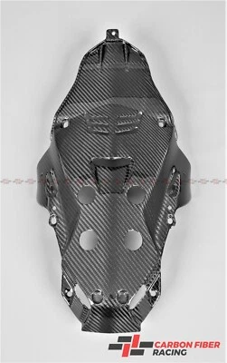 2013 MV Agusta Rivale 800 座单元上衣 - 100% 碳纤维 — 第 1/4 张图片