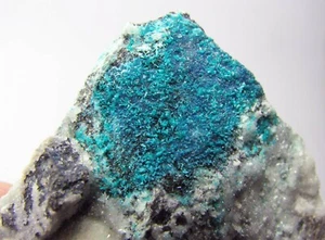 ATACAMIT FEINE GRÜNE KRISTALLE und DRUSISCHE QUARZE auf MATRIX aus CHILE. - Bild 1 von 12