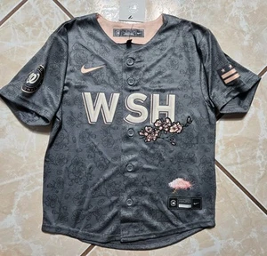 NWT Nike Washington Nationals City Connect Gray Jersey Size Boys 5/6 Kids - Picture 1 of 10
