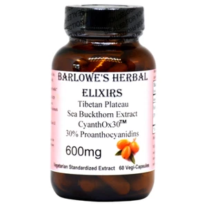 Tibetan Plateau Sea Buckthorn Extract CyanthOx30 | 600mg | 60 Vegi-Capsules - Picture 1 of 7