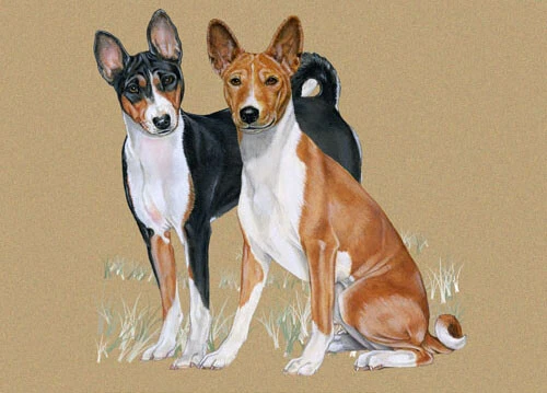 Basenji Birthday Card 5 x 7 with Envelope - Image 1 of 1