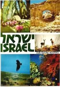 Póster Original Vintage ISRAEL NUESTRAS RESERVAS NATURALES c.1980 - Imagen 1 de 1
