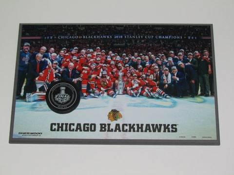 2015 CHICAGO BLACKHAWKS Stanley Cup Champions Team Photo/Game 6 Puck WOOD PLAQUE Cover