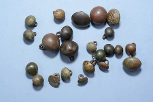 Una colección de botones post-medievales Ropa Botón 1 E - Imagen 1 de 5