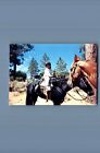 FOUND COLOR PHOTO G+6322 GIRL IN HELMET SITTING ON HORSE