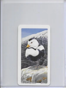 1970 Labrador Duck National Wildlife In Danger Federation Card #1 Series 13 - Picture 1 of 2