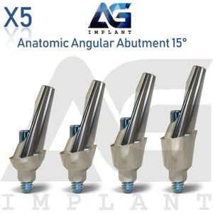 5 Protesi Angolari Anatomiche 15° Estetiche Titanio Int Esagonale 2,42mm - Foto 1 di 4