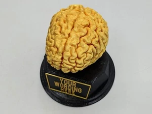 Personalised Brain Trophy / Big Brain Trophy / Secret Santa Quizzer / Clever Gif - Picture 1 of 7
