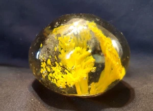 Vintage Hand Blown Art Glass Round Paperweight Yellow Flower Controlled Bubble - Picture 1 of 8