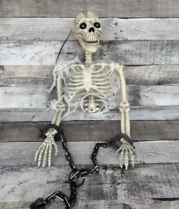Busto scheletro animato Halloween occhi parlanti bocca chiara muove zucca cavo - Foto 1 di 9