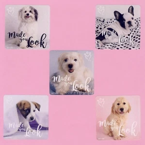 15 Rachael Hale Hecho You Look - Pegatinas Grandes - Favores de Fiesta - Perro, Cachorro - Imagen 1 de 1