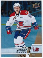 17/18 2017 UD UPPER DECK CHL HOCKEY RAINBOW PARALLEL CARDS (201-300) U-Pick List