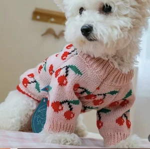 🍒SM Dog Sweater WITH CHERRIES 🍒 SZ- M & L  🍒🍒🍒SUPERCUTE ON! - Picture 1 of 7